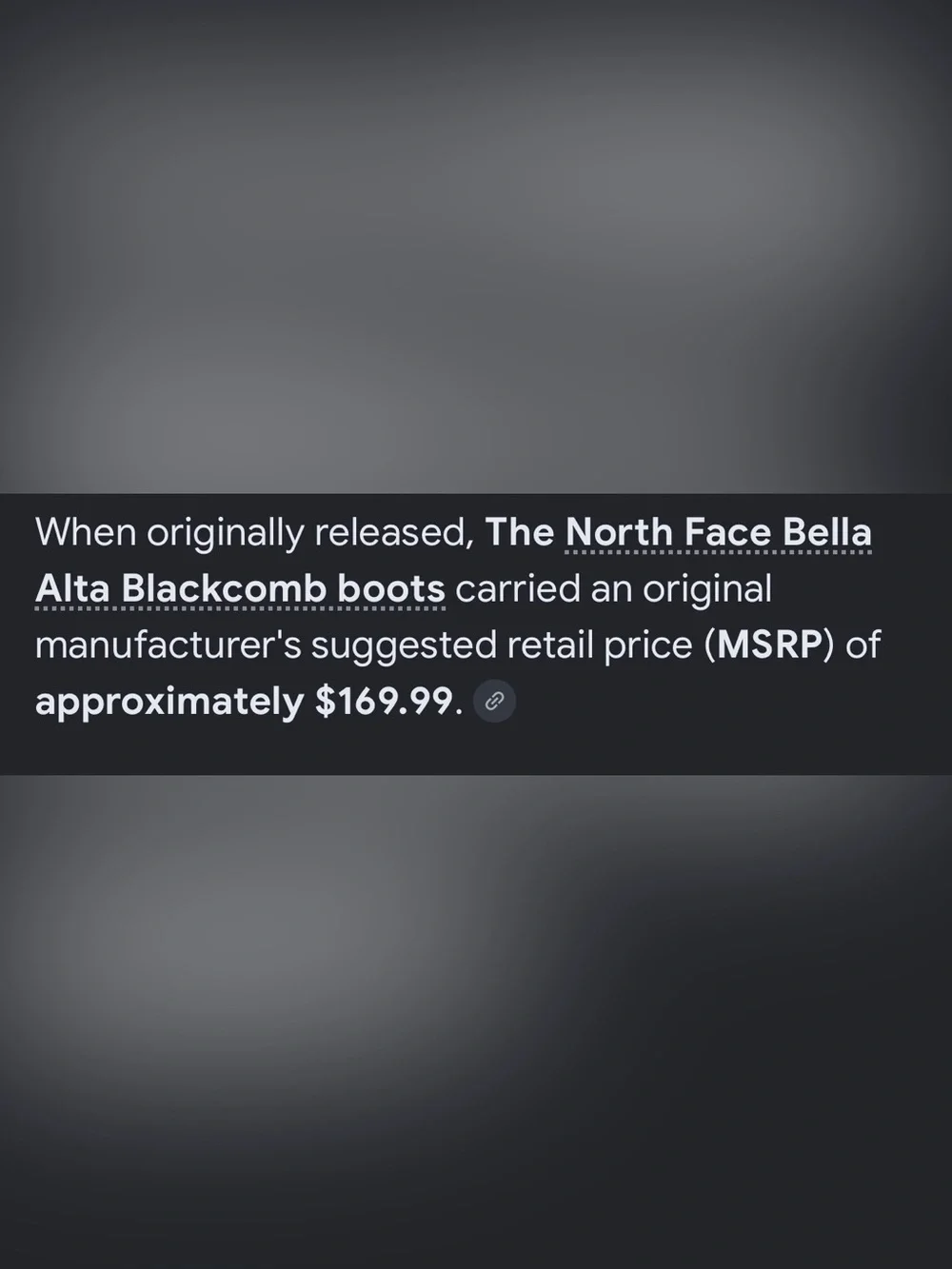 The North Face Winter Waterproof Boots